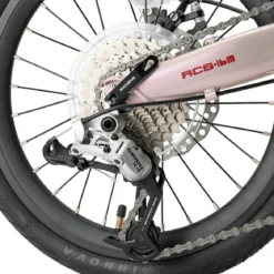 ACS 16-Inch Folding Bike