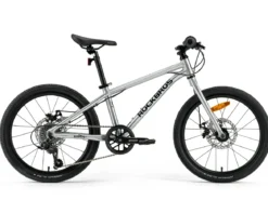 Darwin III 20-Inch Kids Bike