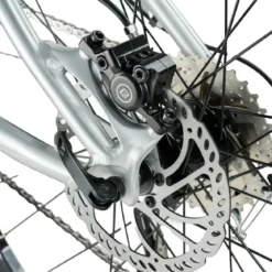 Darwin V 26-Inch Mountain Bike