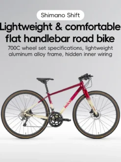 SPIN-P2M Carbon Fiber Fork Aluminum Frame Road Bike